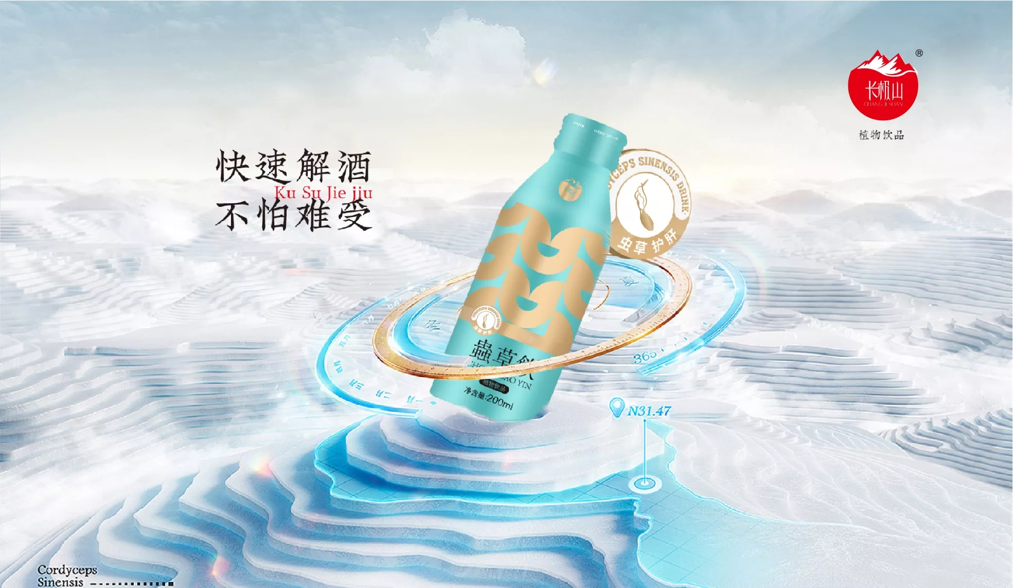系统性品牌定位策划